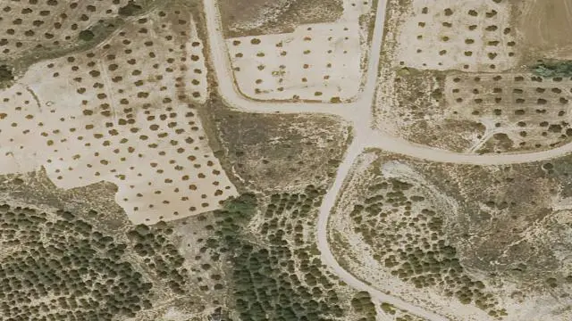 Polígono 509, Parcela 21, Paraje Llantar del Tío