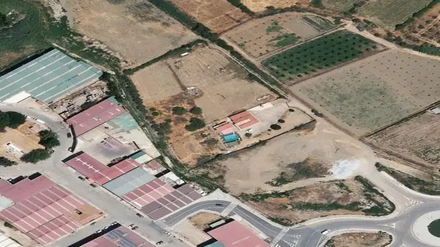 Trance Castaño ( Benalua - Benalua (Granada))