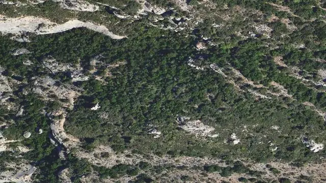 Término de Margalef