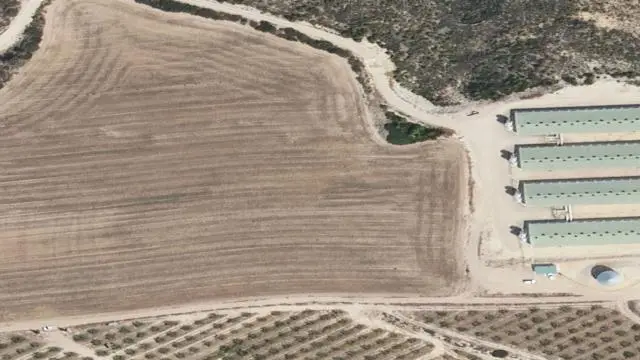 Fayón, en la Partida Val de Asut