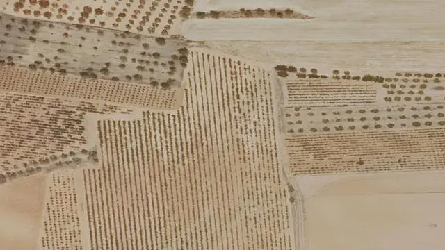 Paraje el Rodenillo