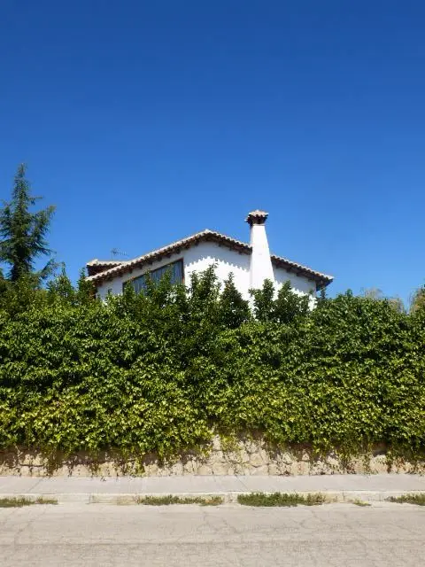 Navarredonda 44