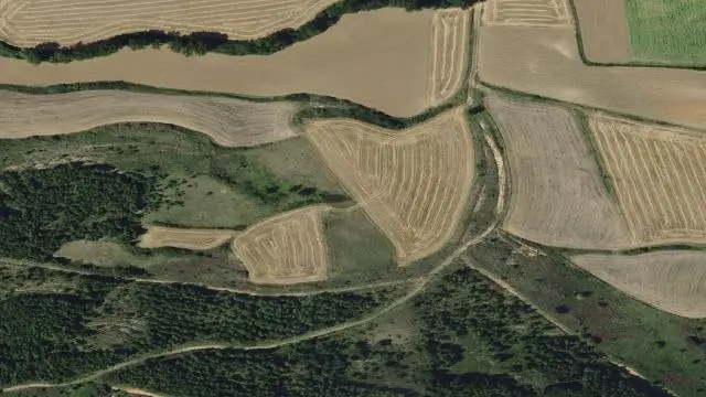 Lugar el Torco, 49