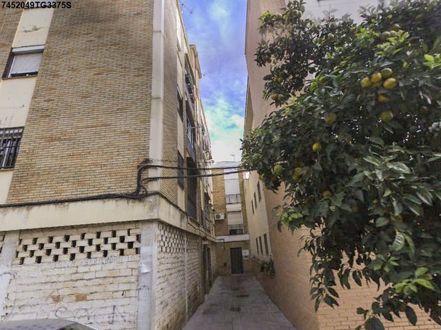 Calle Almirante Argandoña, 5