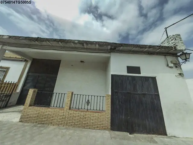 Calle Tulipanes, 32