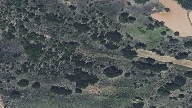 Polígono 22, Parcela 440, Paraje Corrales