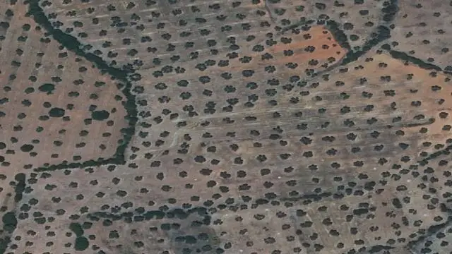 Lugar Otros Langosa