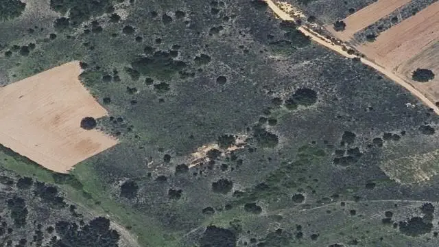 Polígono 22, Parcela 130, Paraje las Quemadas