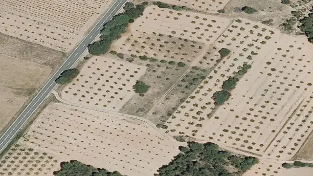 Paraje Caña Latorre