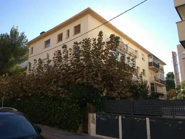 Mayor, 23 Bajos
