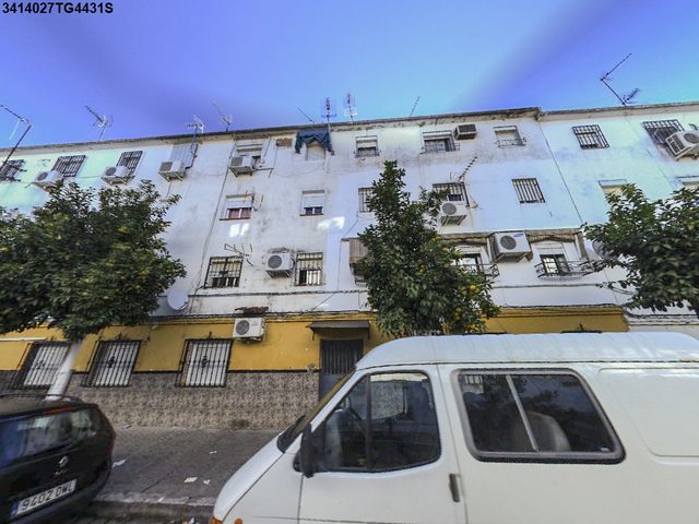 Calle Cedro, 6