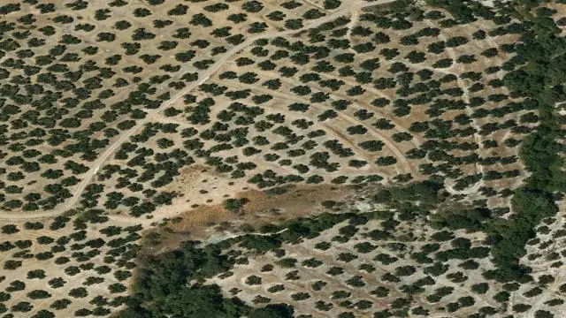 Pa Loma Arrieros Pol.3 Parc. 821, 23160