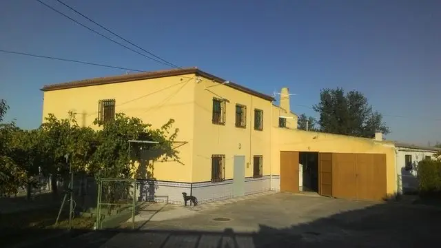 la Laguna