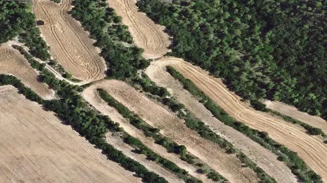 Torres O Clot del Pique