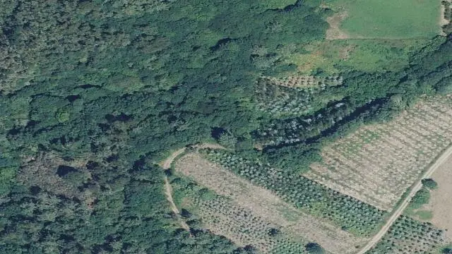 Polígono 3, Parcela 357, Paraje O Casal