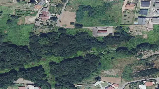 Lg Pego 0, 36400