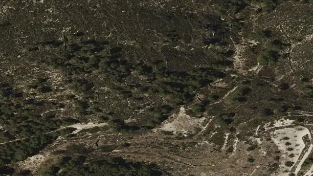 Partida Colomer 5