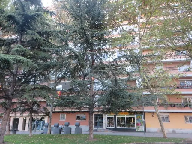 Avenida Juan Carlos i, 44