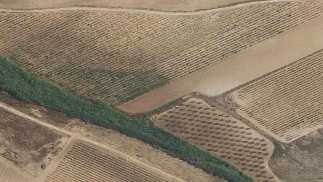 Polígono 3, Parcela 32. Casa Marta