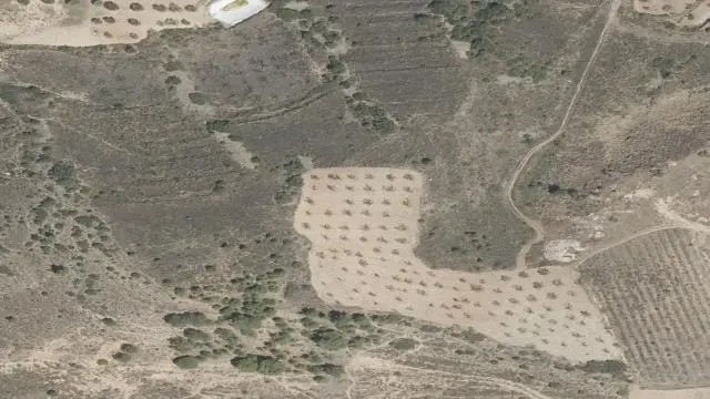 Lugar Gromo