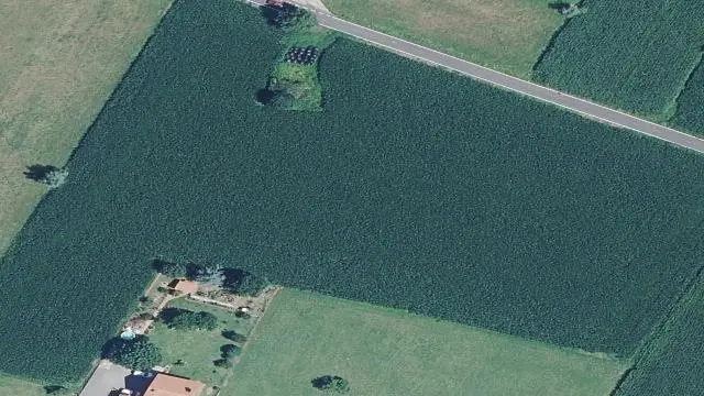 Mies de San Martin