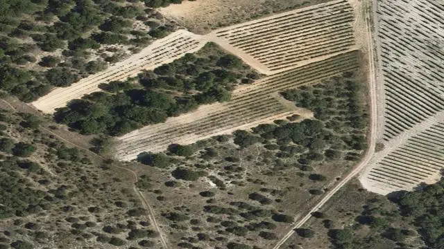 Cm Camino del Monte 0, 47350