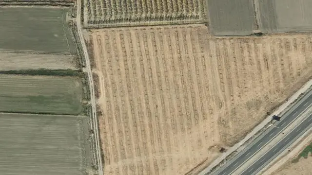 Polígono 16, Parcela 85, Paraje Barrasa (y 3 Fincas Más)