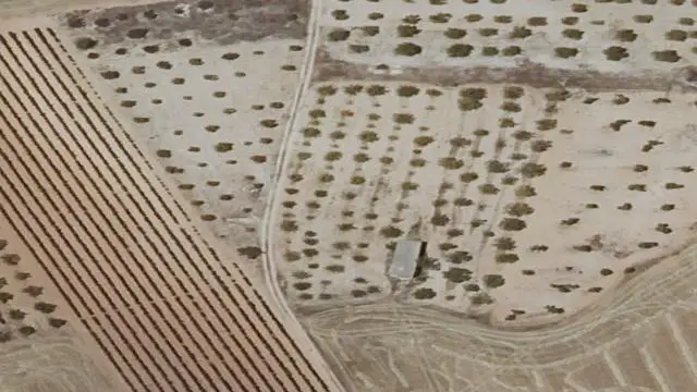 Sisante