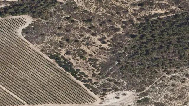 Pieza de Tierra en Término de Fayón, Partida Val de Granda