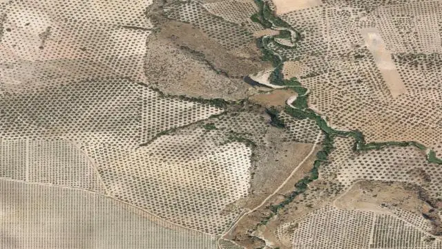 Barranco Hondo, Poligono 8, Parcelas 25, 26, 29, 47