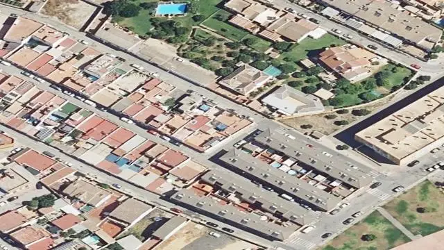Suerte de Olivar en el Pago de los Cortijos
