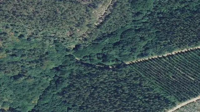 Polígono 3, Parcela 421, Paraje Fondo da Fraga