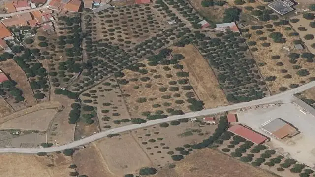 Guadalperal, Poligono 1, Parcela 26