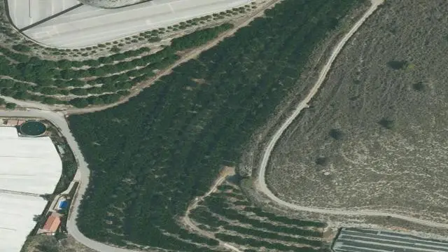 Hoyo de Paterna, Pago Arroyo de Horo, Haza de Bujilla