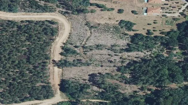 Polígono 108, Parcela 1200