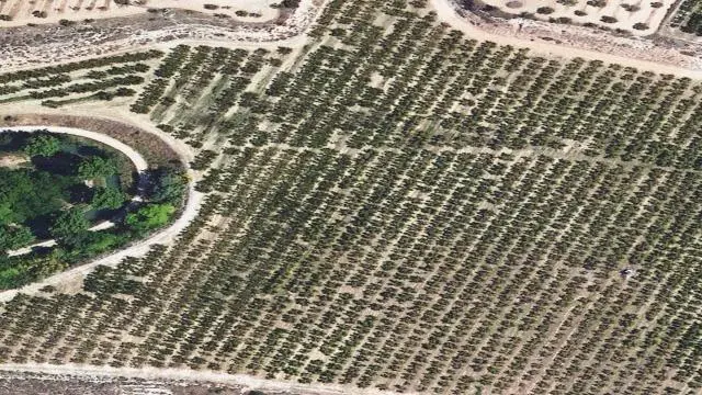 Partida "Fondo de les Viñes, Planot O Diumenges"