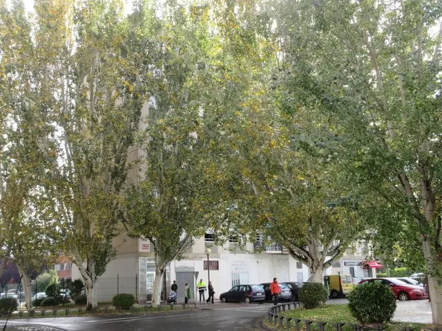 Calle Obispo Lepe, 7, 5º B