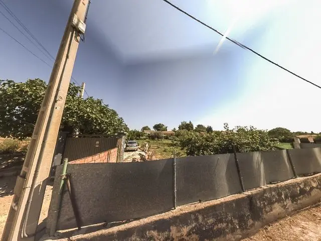 Diseminados Almenareta -2