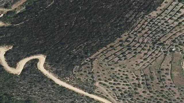 Polígono 504, Parcela 741, Paraje Fuente la Piedra