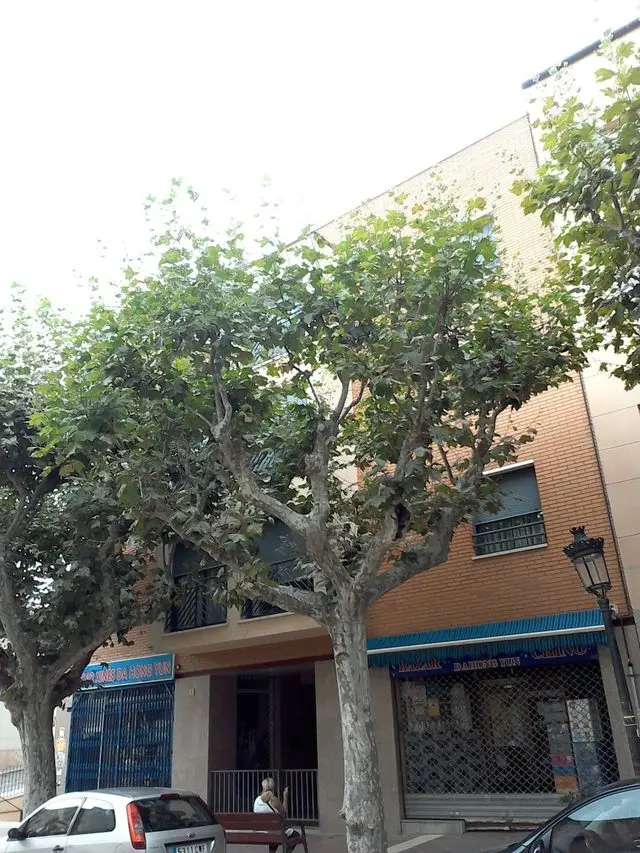 Folch i Torres, 40 2º C esc 2