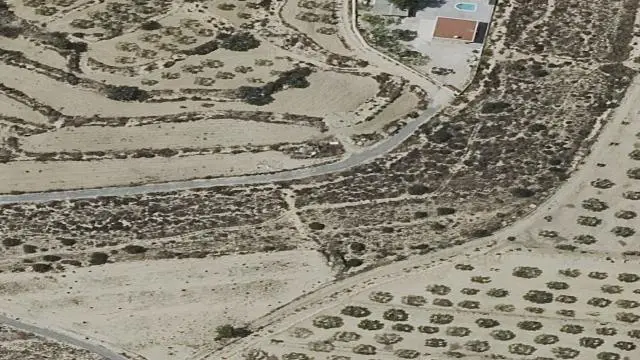 Partida Alquedra