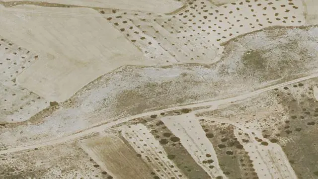 Polígono 501, Parcela 49, Paraje Cerro Gobernadora