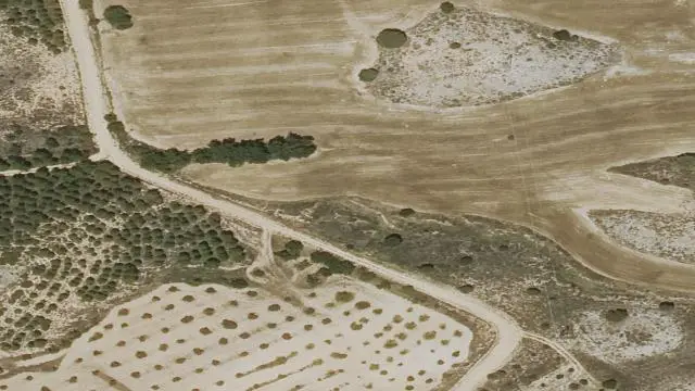 Polígono 510, Parcela 99, Paraje la Noguera