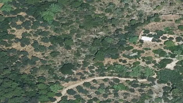 Paraje de la Zaina Poligono 4 Parcela 338