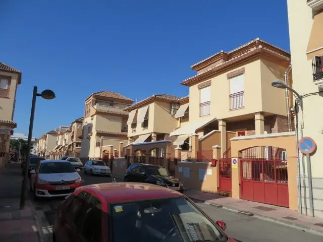 Calle Girasol, 50