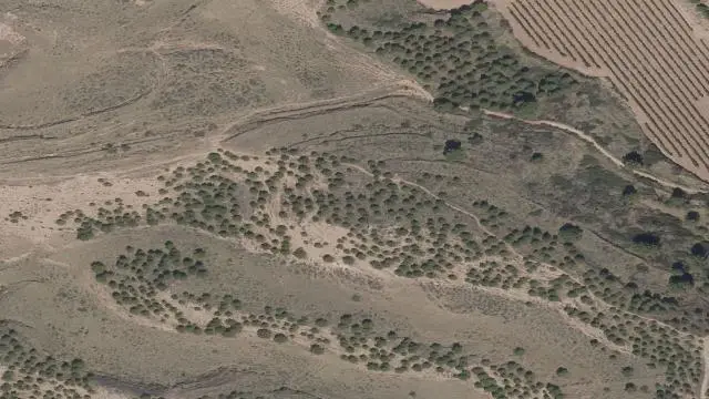 Término de Valderrey