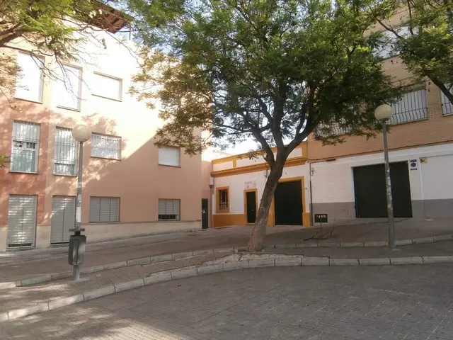 Calle Leones 15