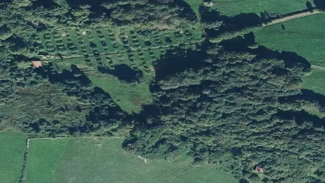 Polígono 1, Parcela 66 (y 3 Fincas Más)