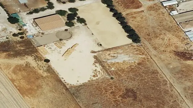 Pj Pago Llanos de Vico 0, 11560