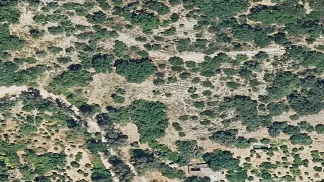 Algatocín